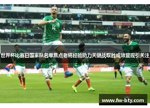 世界杯比赛日国家队名单焦点老将经验助力关键战取胜成效显现引关注